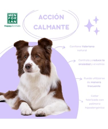 Menforsan Zgarda Calmanta Caine