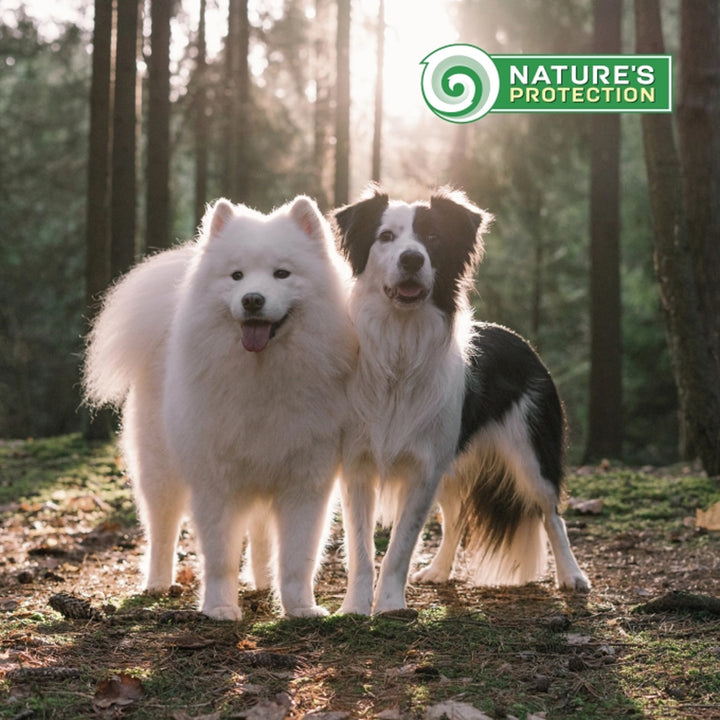 Nature&