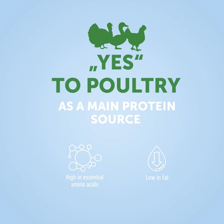 Nature&