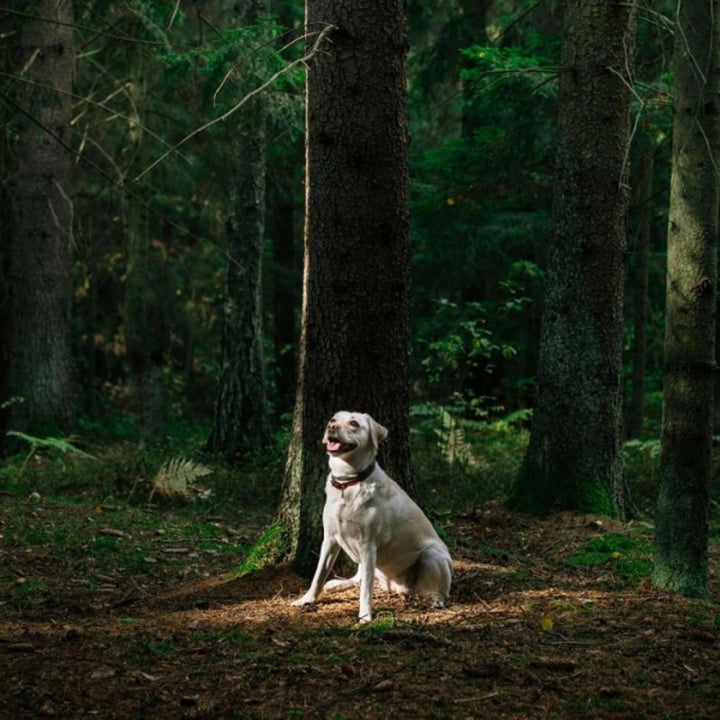Nature&