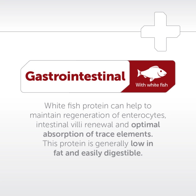 Superior Care Veterinary Diet Gastrointestinal Adult All Breeds cu Peste Alb 10 Kg