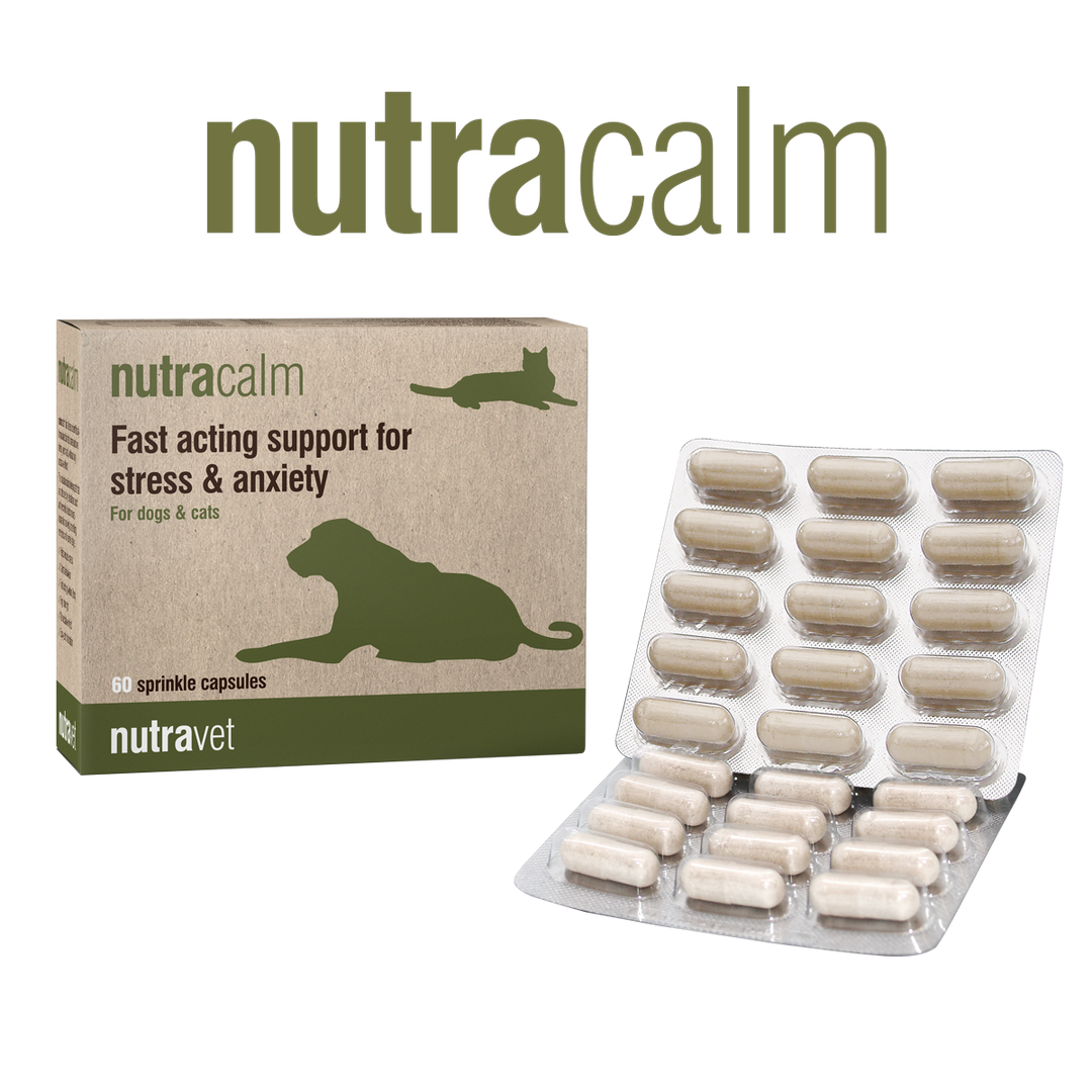 Nutravet Nutracalm Sprijin pentru Anxietate Caini si Pisici 15 Capsule