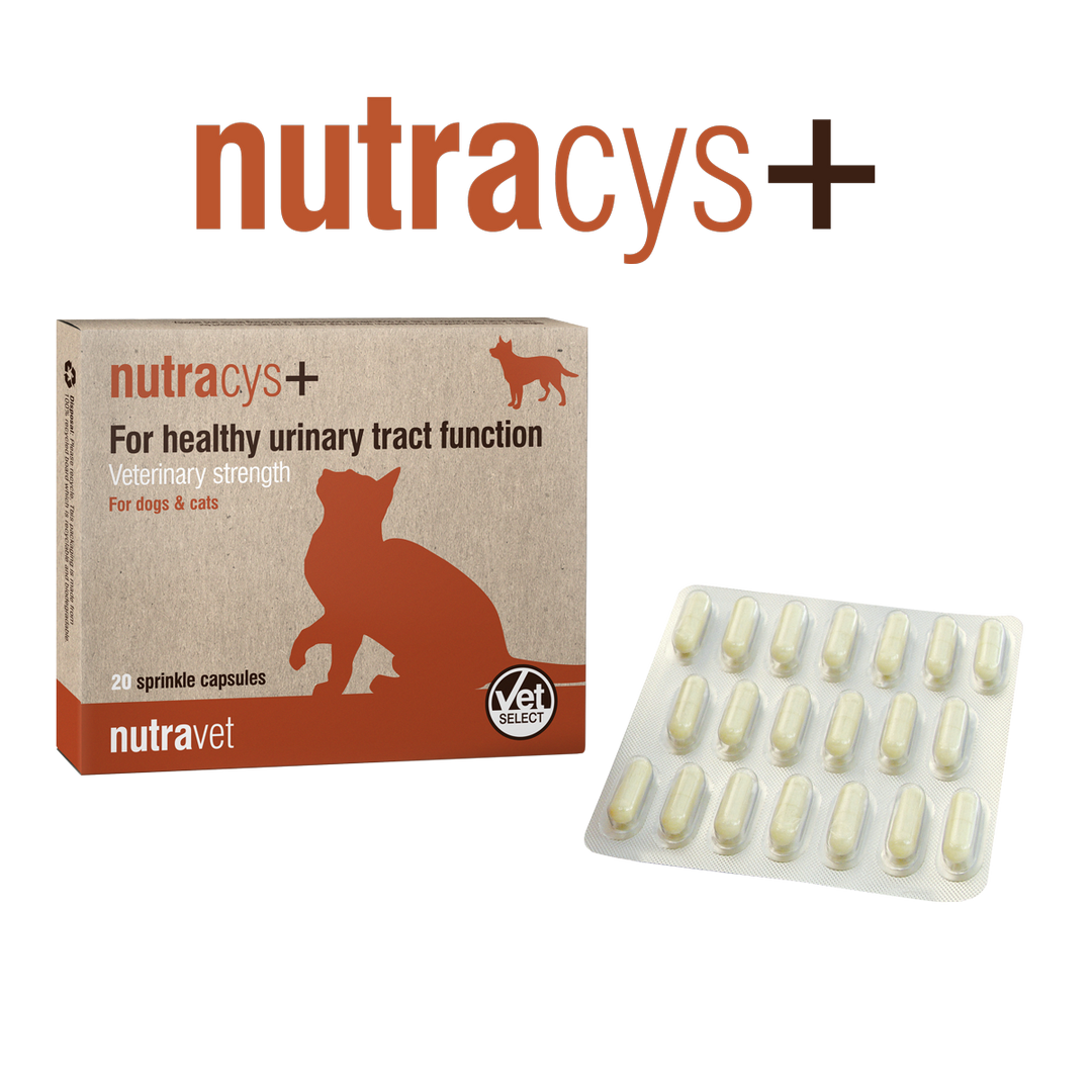 Nutravet Nutracys+ Sustinerea Tractului Urinar Caini si Pisici 20 Capsule