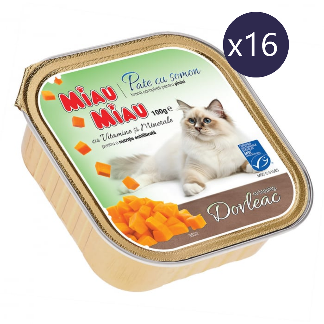 Hrană Umedă Pisici MIAU MIAU | Pate cu Somon și Dovleac, 100g