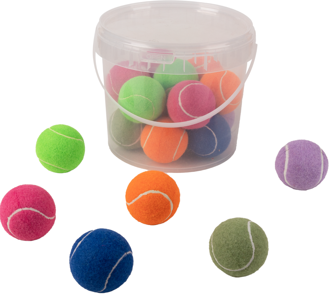 Pawise Hard Tennis Ball Set 20 Buc