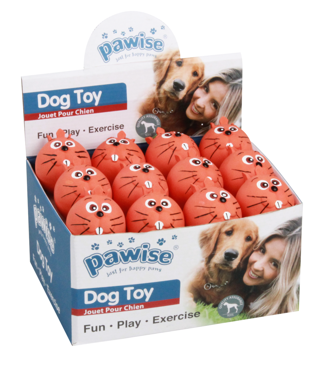 Pawise Latex Bunny Ball Set 24 Buc