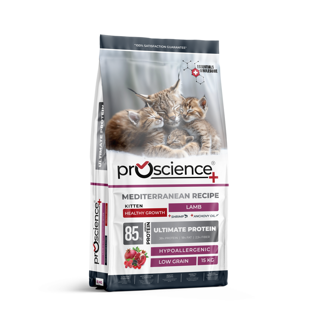 Pro Science Kitten Healthy Growth cu Miel