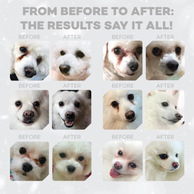 Superior Care White Dogs Grain Free All Life Stages cu Peste Alb 4 Kg
