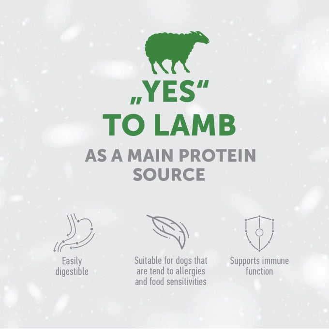 Superior Care Sensitive Skin Stomach Lamb Adult All Breed 1.5 Kg