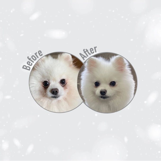 Superior Care White Dogs Grain Free Small Mini Breeds Junior cu Peste Alb 1.5 Kg