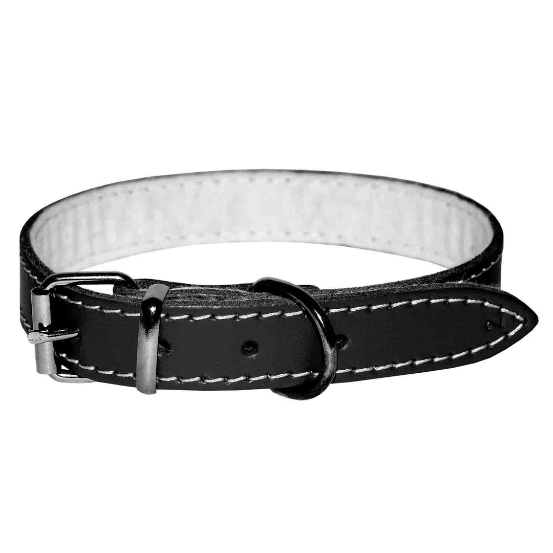 Zgarda Piele 4DOG | 16mm latime, 400mm lungime, Pasla Neagra
