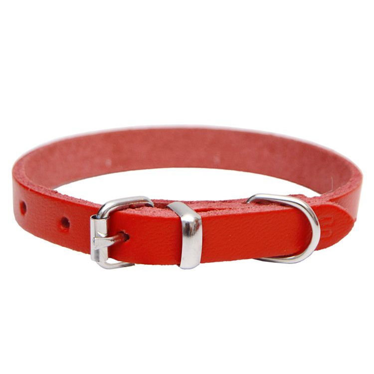 Zgardă din piele naturală pentru câini mici 4DOG, roșie, nr. 00, 10x290mm, elegantă și funcțională, rezistentă și reglabilă.