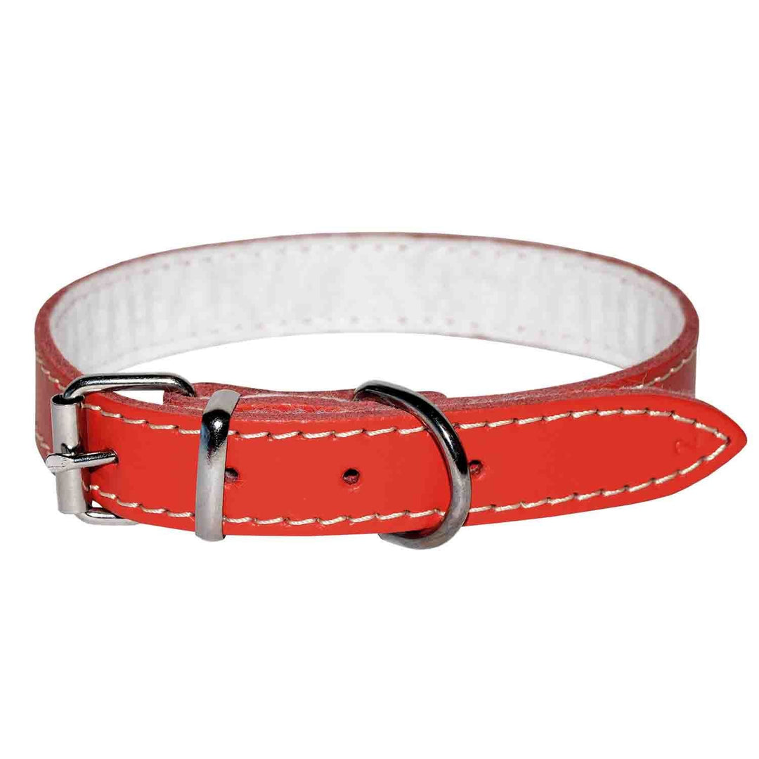 Zgardă câine piele pasla 4DOG rosie medie 30x620mm
