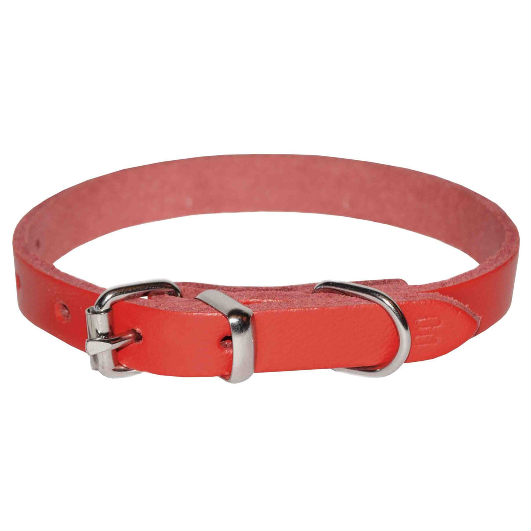 Zgardă eleganta din piele pentru câini mici, 4DOG, rosie, nr. 0, 12mm x 360mm