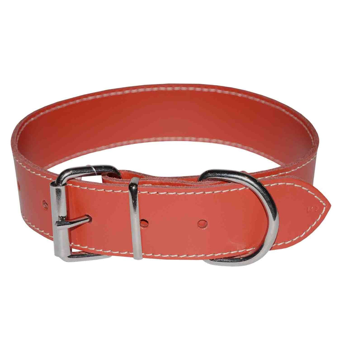 Zgardă pentru câine din piele, 4DOG, rosie, nr. 5, 40 mm x 630 mm, eleganta și durabila pentru câini talie medie și mare